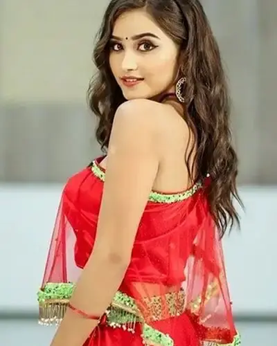 Escort In Narayanpet